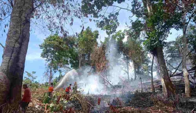 
					Petugas Damkar PB 05 Kluet Tengah BPBD Aceh Selatan Saat Melakukan Pemadaman Karhutla di Kluet Tengah: Photo: HO