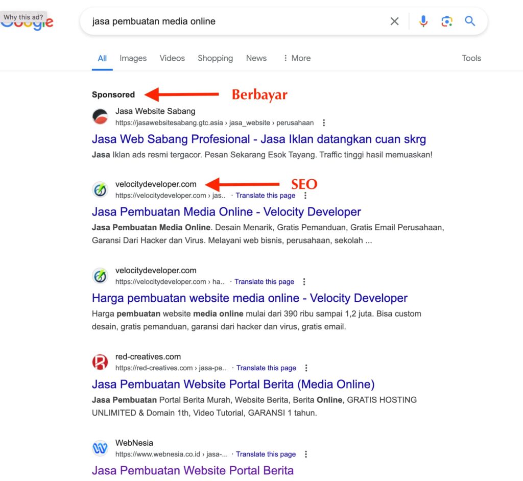 organik seo vs berbayar